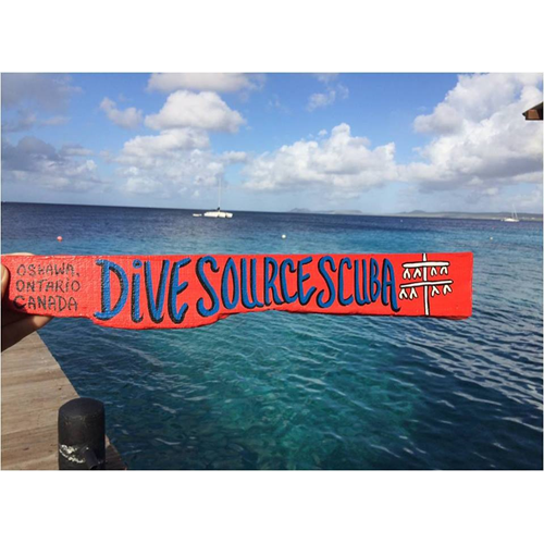 Dive Zone Club Membership